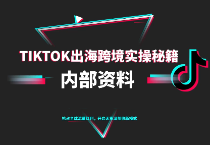 TikTok跨境电商0-1搭建运营(更新10月)-丰收创业