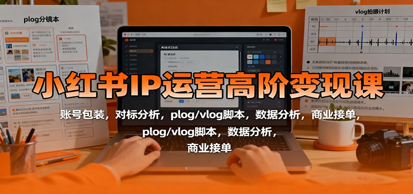 小红书IP运营高阶变现课:账号包装,对标分析,plog/vlog脚本,数据分析,商业接单-丰收创业