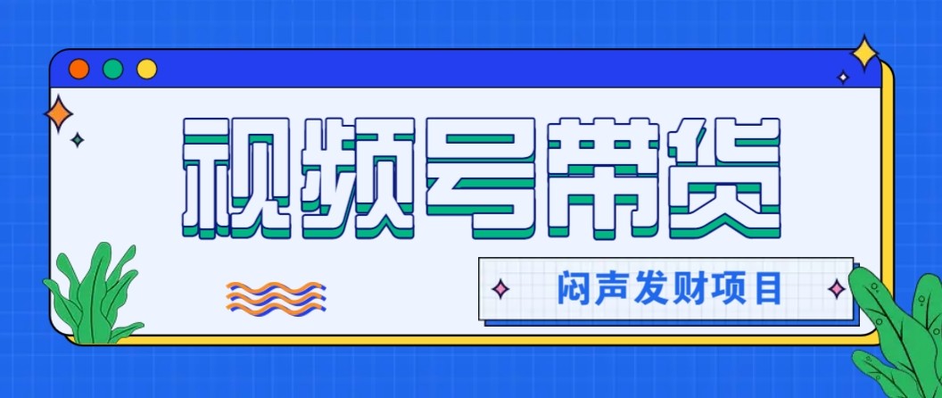 微信视频号带货项目,轻松日赚赚2000+,这个挣钱入口很多伙伴都在闷声发财-丰收创业