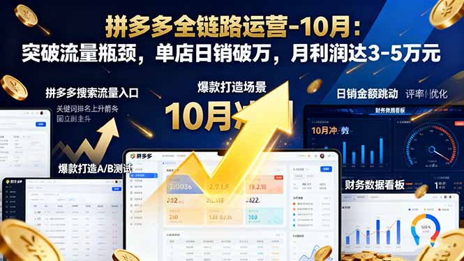 拼多多全链路运营-10月：突破流量瓶颈，单店日销破万，月利润达3-5万元-丰收创业