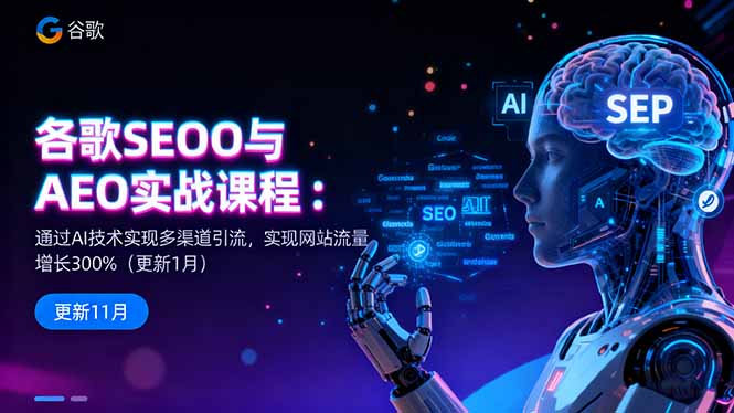 谷歌SEO与AEO实战课程:通过AI技术实现多渠道引流,实现网站流量增长300%-丰收创业