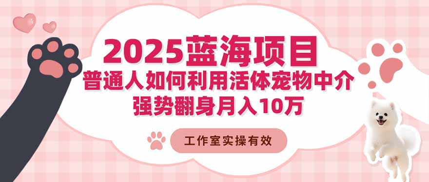 2025蓝海项目:普通人如何利用活体宠物中介,强势翻身月入10万-丰收创业