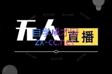 宝子哥·无人直播-非实时防风技术(更新11月)-丰收创业