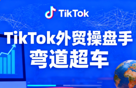 TikTok外贸操盘手(更新11月)-丰收创业