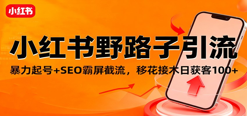 小红书野路子引流,暴力起号+SEO霸屏截流,移花接木日获客100+-丰收创业