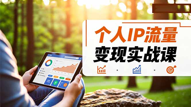 个人IP流量变现实战课,涵盖多平台引流、打造个人IP并实现稳定流量变现-丰收创业