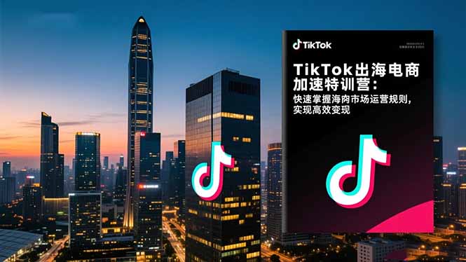 TikTok出海电商加速特训营：快速掌握海外市场运营规则，实现高效变现-丰收创业