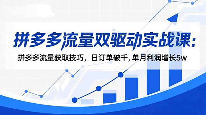 拼多多流量双驱动实战课：拼多多流量获取技巧，日订单破千,单月利润增长5w-丰收创业