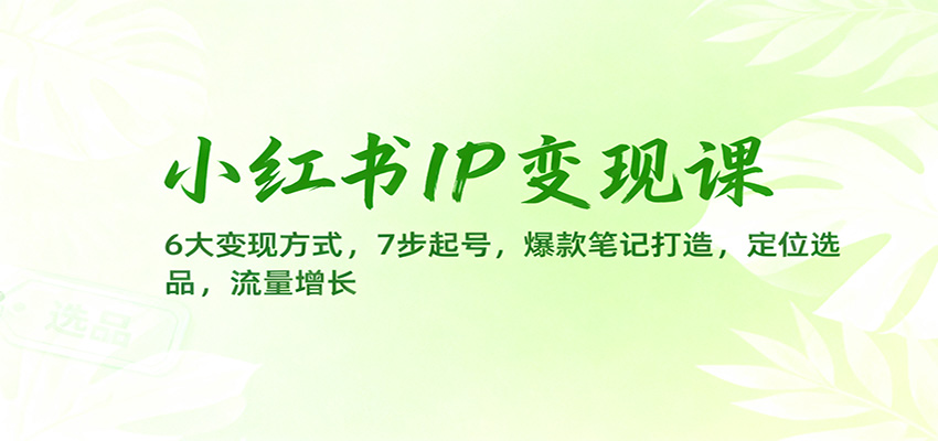 小红书IP变现课:6大变现方式,7步起号,爆款笔记打造,定位选品,流量增长-丰收创业